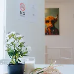 Appartement Gruppenquartier 170 Qm Lahnstein