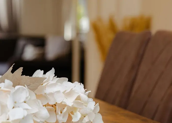 Appartement Gruppenquartier 170 Qm Lahnstein