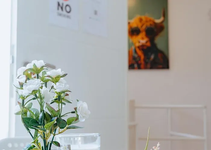 Appartement Gruppenquartier 170 Qm Lahnstein