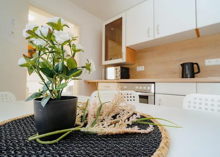 Gruppenquartier 170 Qm Appartement Lahnstein